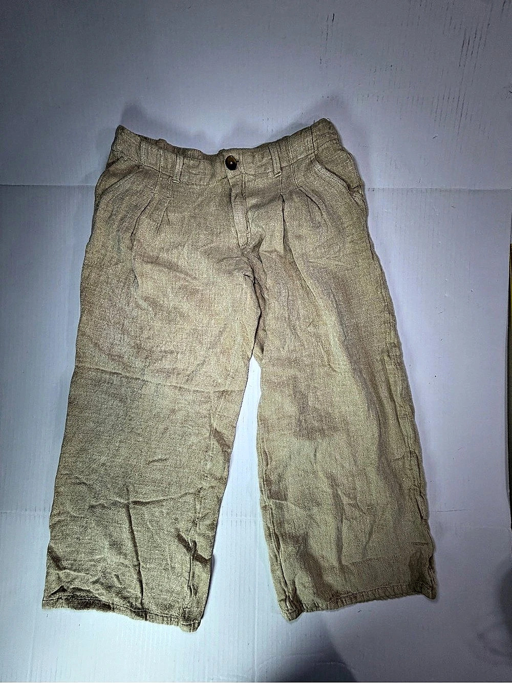 Urban Outfitters Cropped Linen Blend Pants Size 6